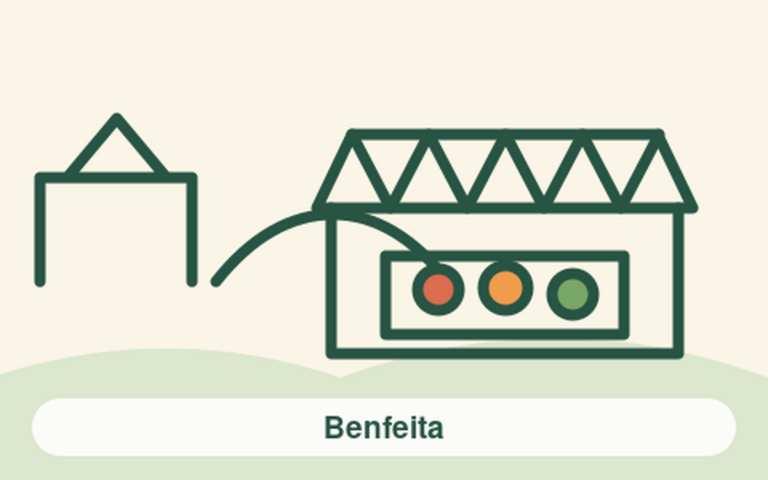 Benfeita market