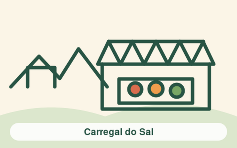 Carregal do Sal market