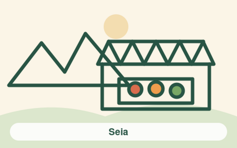 Seia market